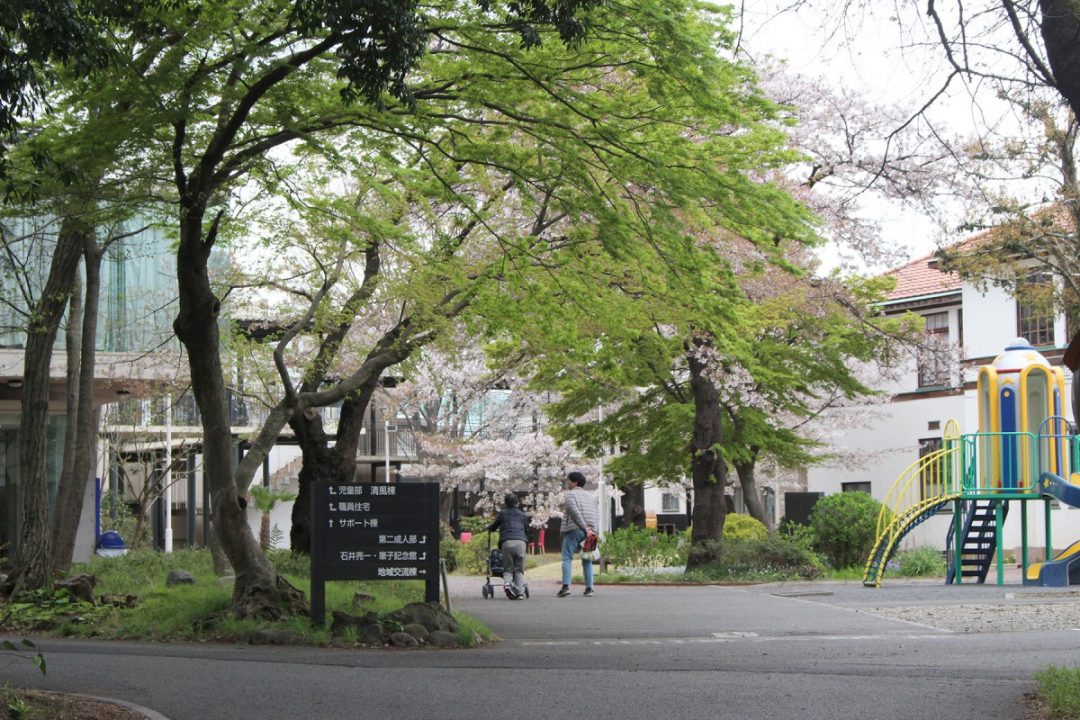 木々が育ちあうように